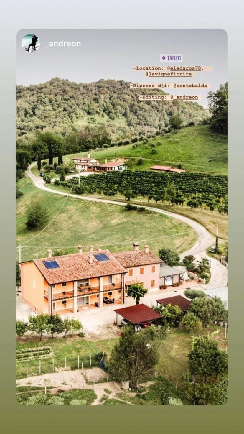 La Vigna Fiorita B&B Tarzo Ngoại thất bức ảnh